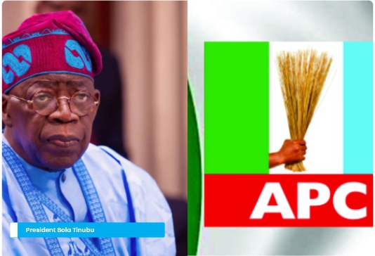 Tinubu Sweeps APC 2027 Primaries With 10.9M Votes: Full Analysis & Public Reaction